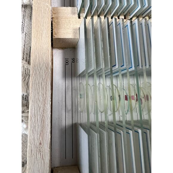 AmScope Specimen Collection Prepared Biology Microscope Slides - Picture 4 of 6